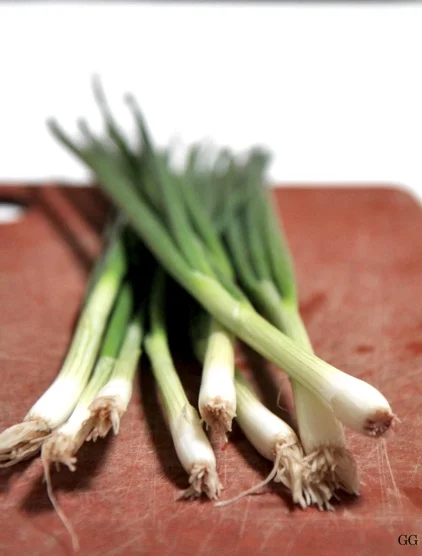 scallion2