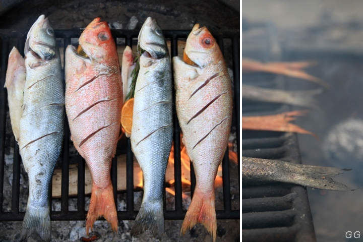 fishcombo