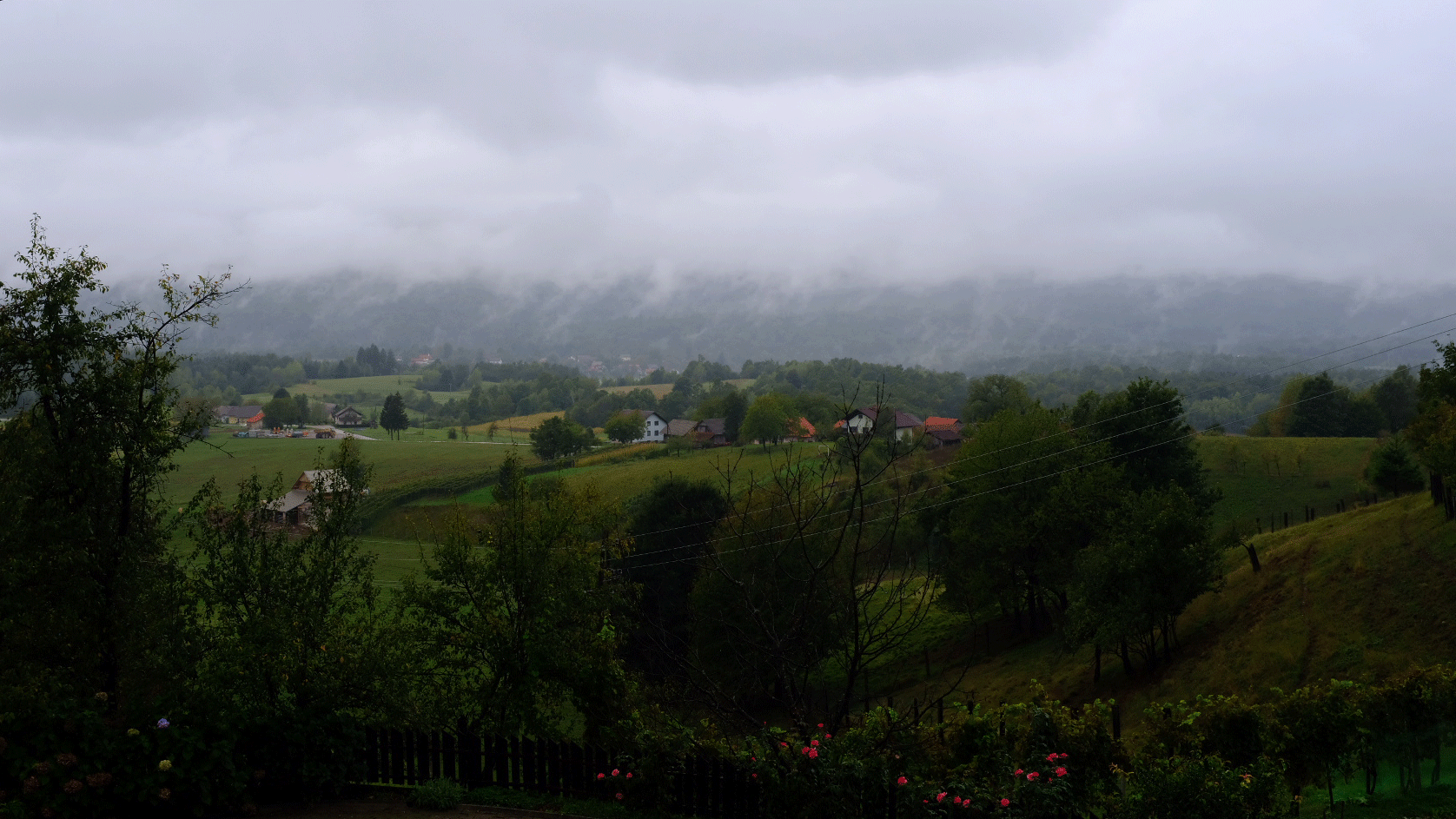 IMG_4039.gif