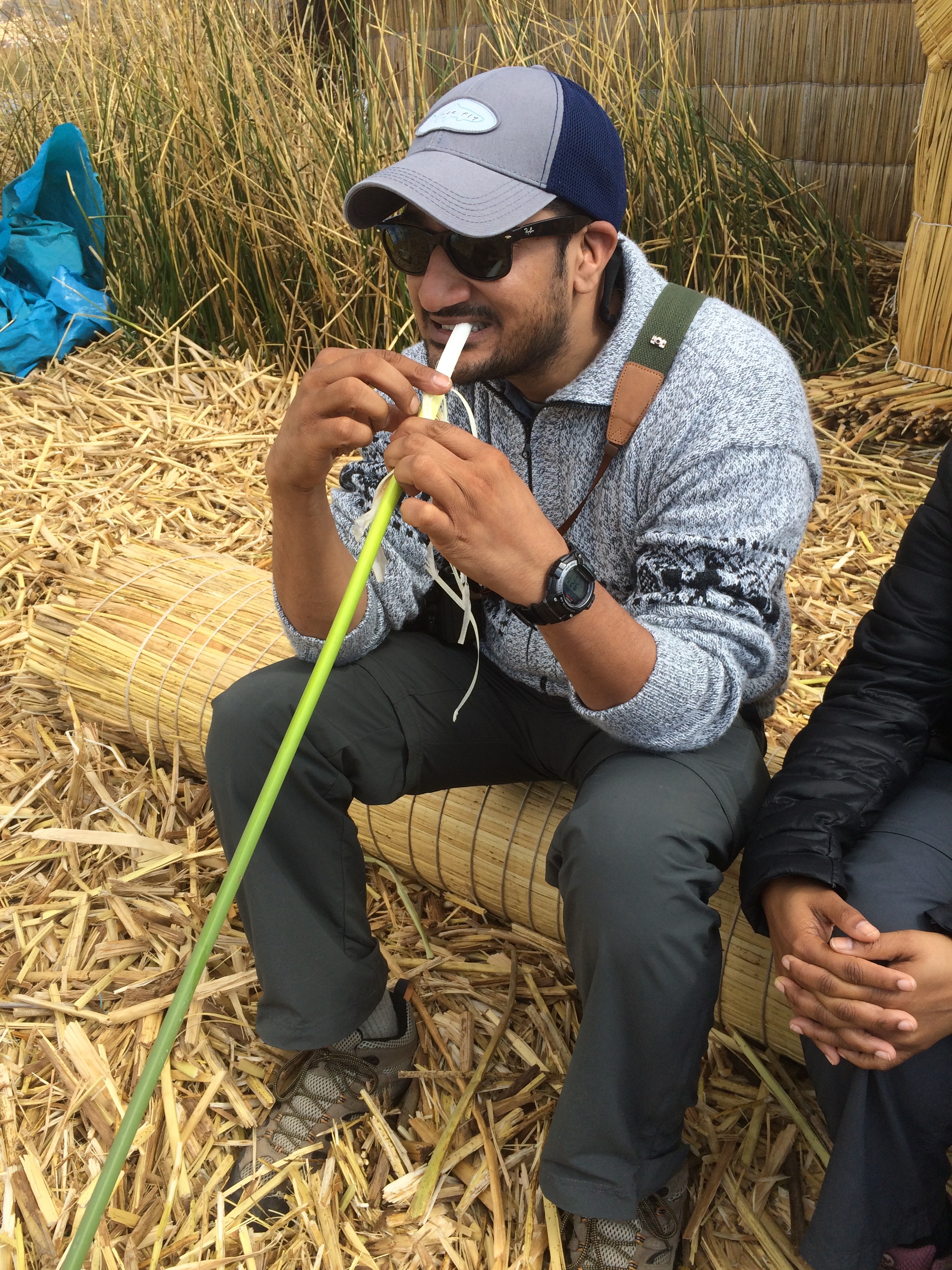 Yep, you can even eat the reed
