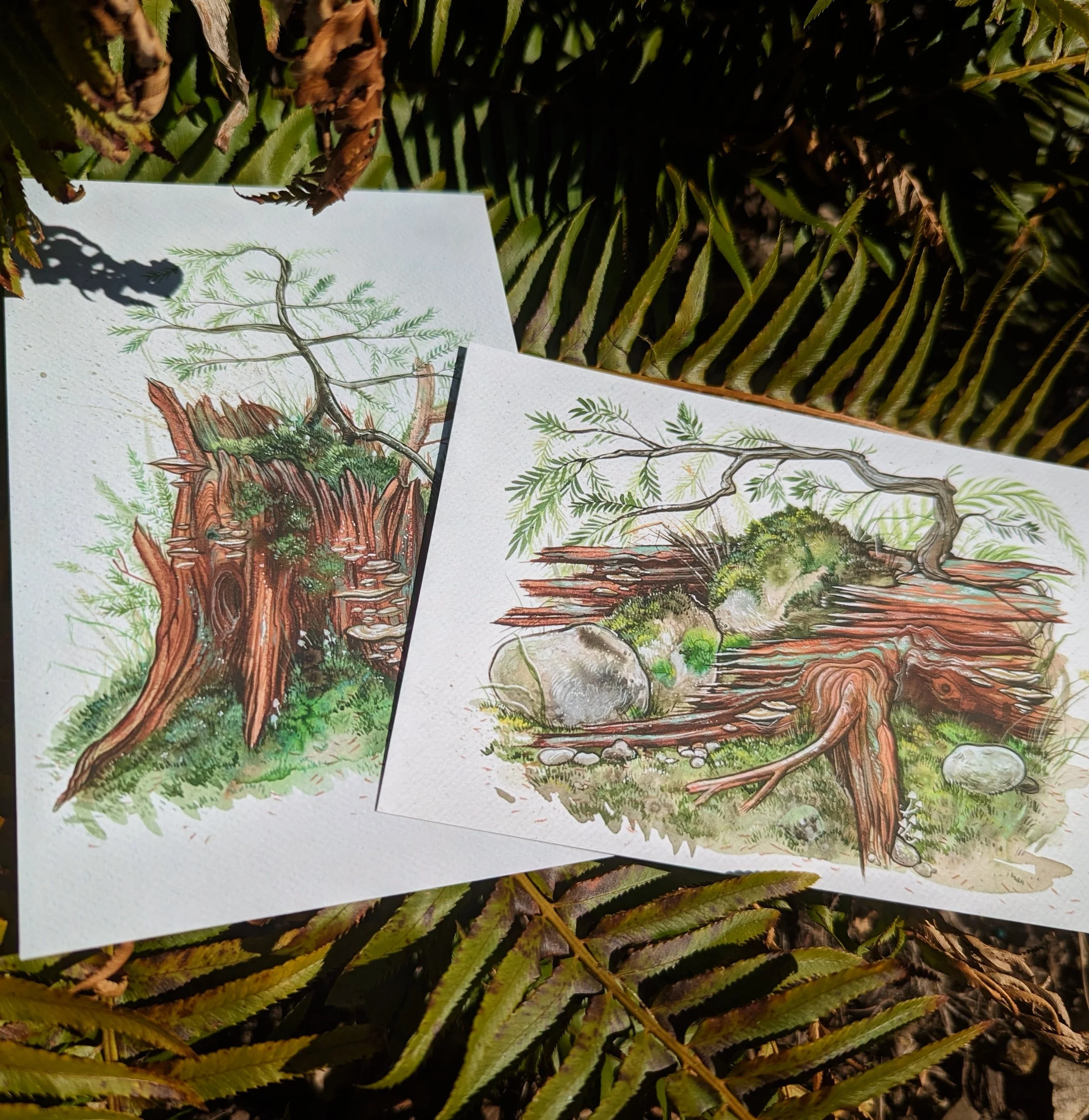postcards_both.JPG
