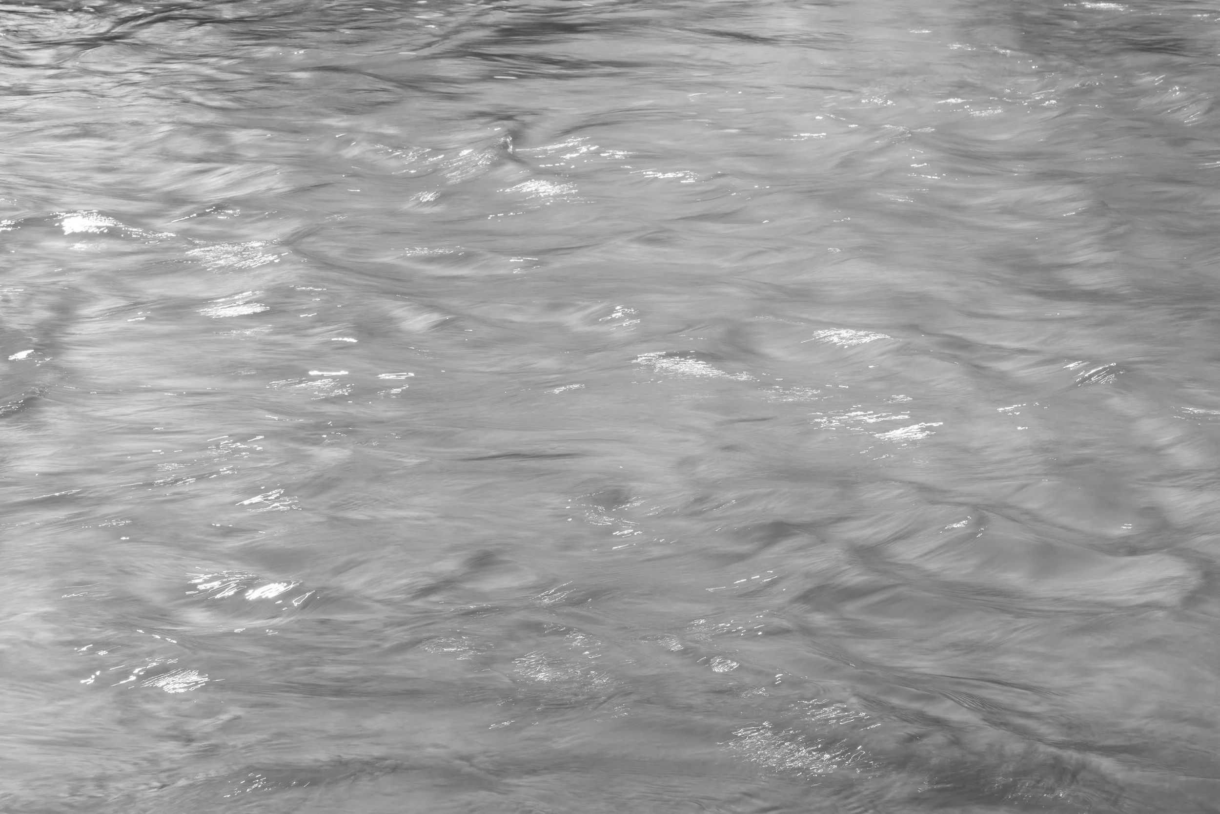 Putah Creek 0709, 2026