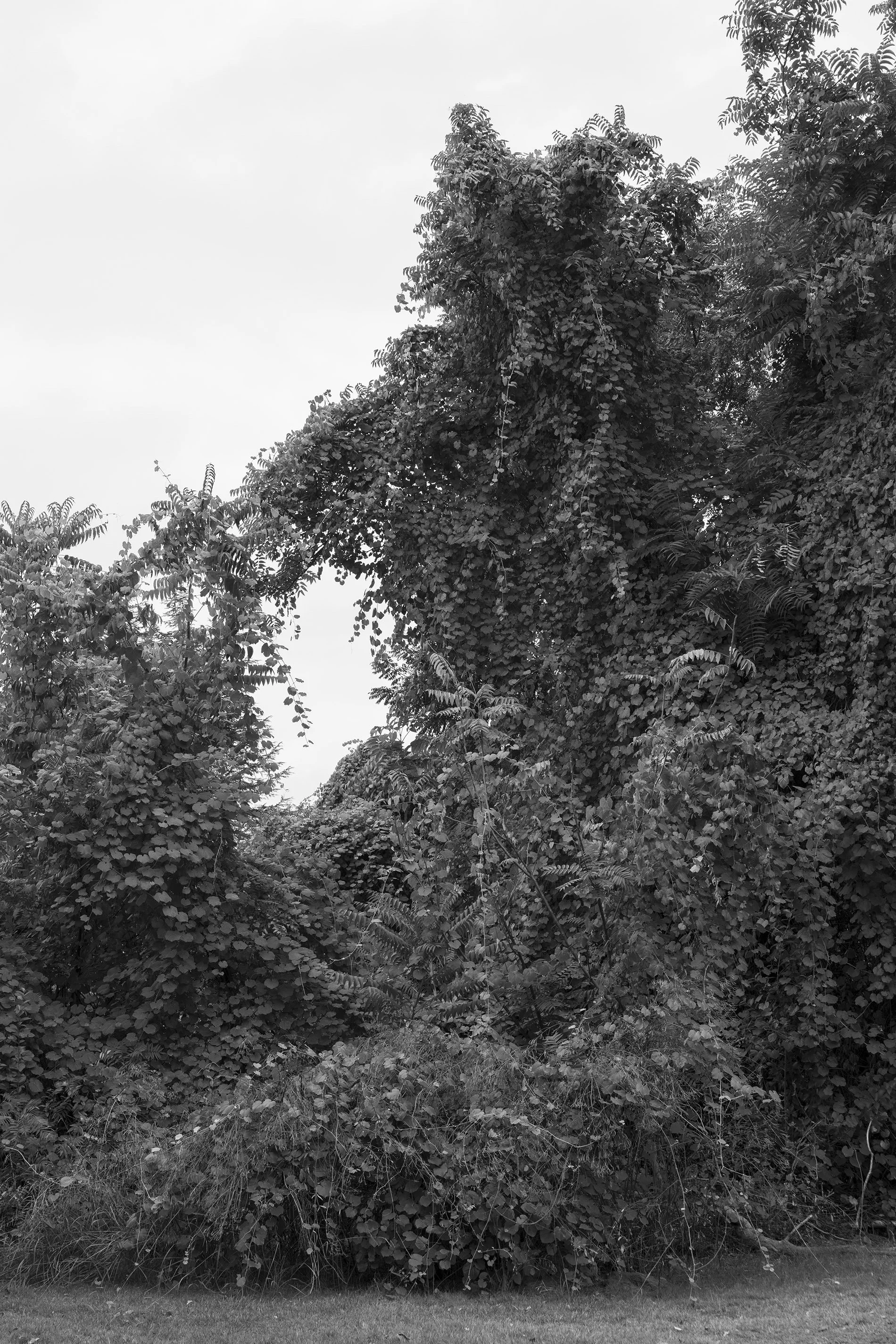 River Bend 0452, 2026