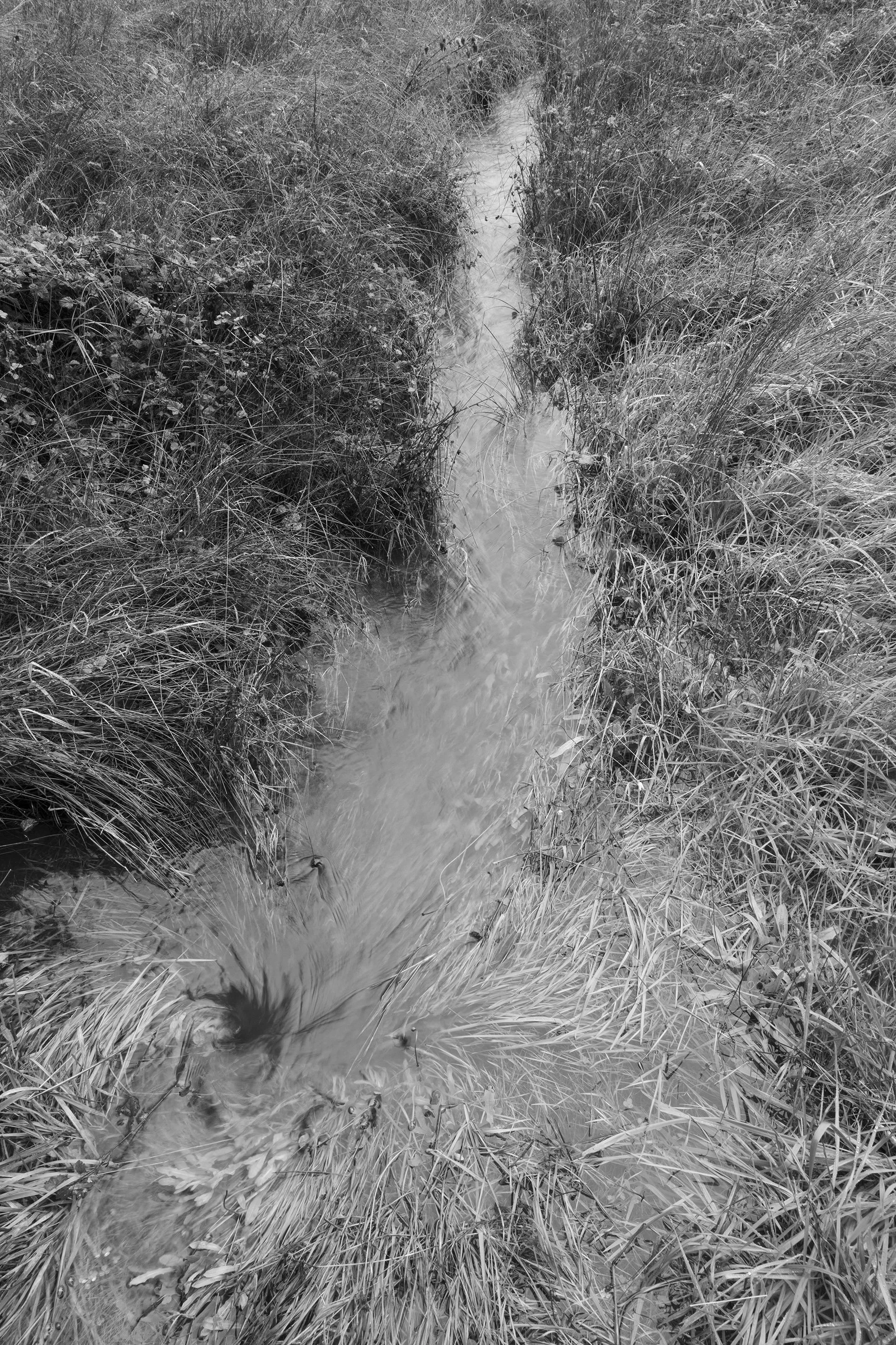 Sea Ranch 0216, 2026