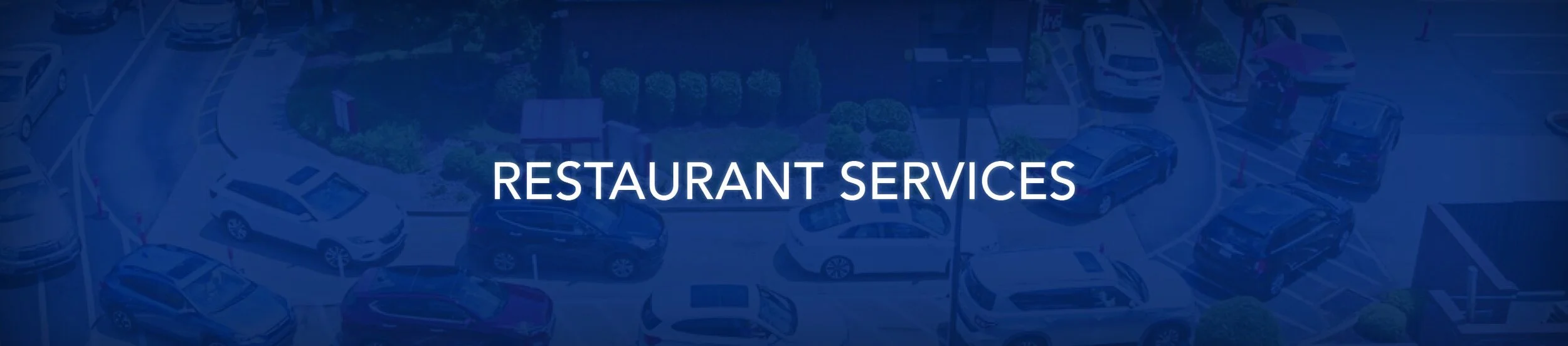 TP Website Banner.jpg
