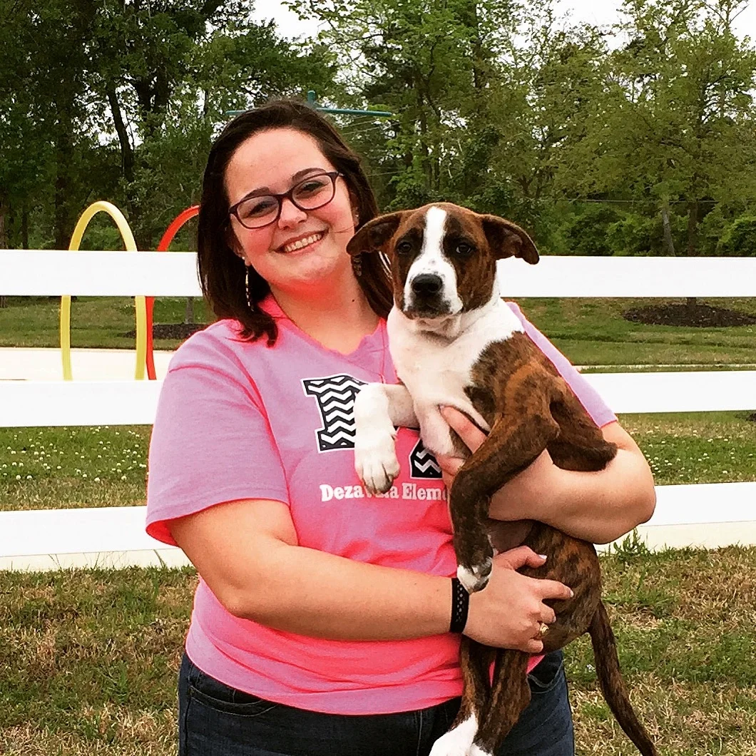 ALI - Adopted March 2015