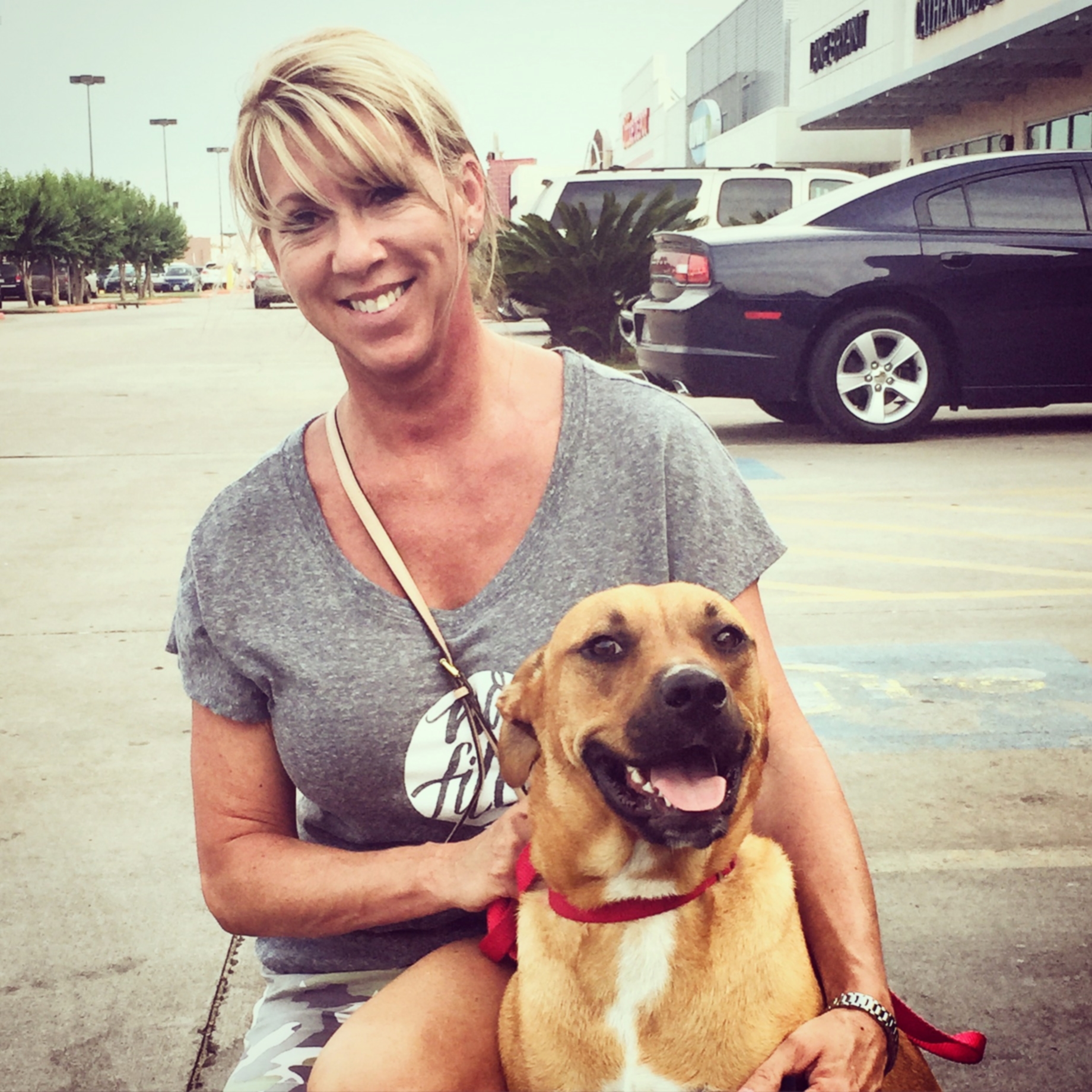 SADIE - Adopted June 2015