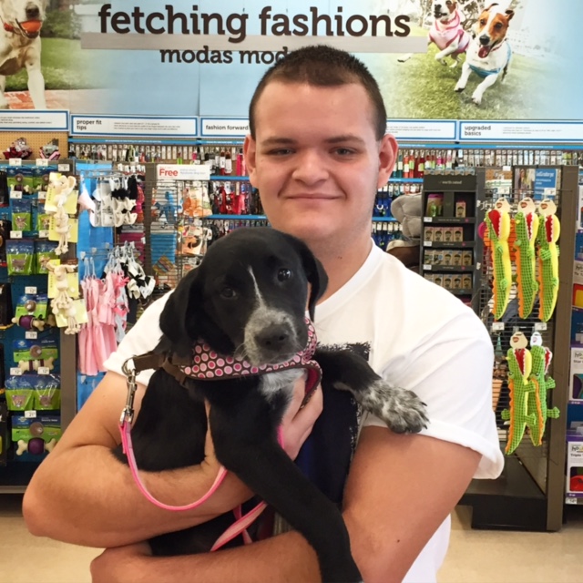 DAISY - Adopted April 2016