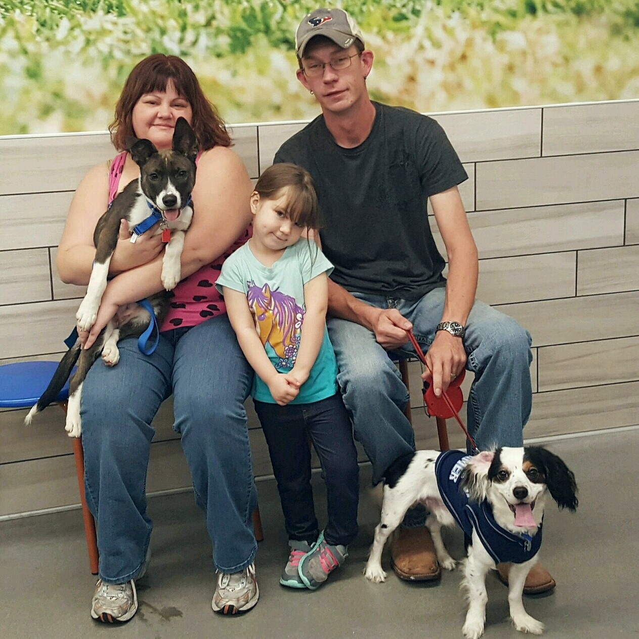 MOLLY - Adopted February 2017