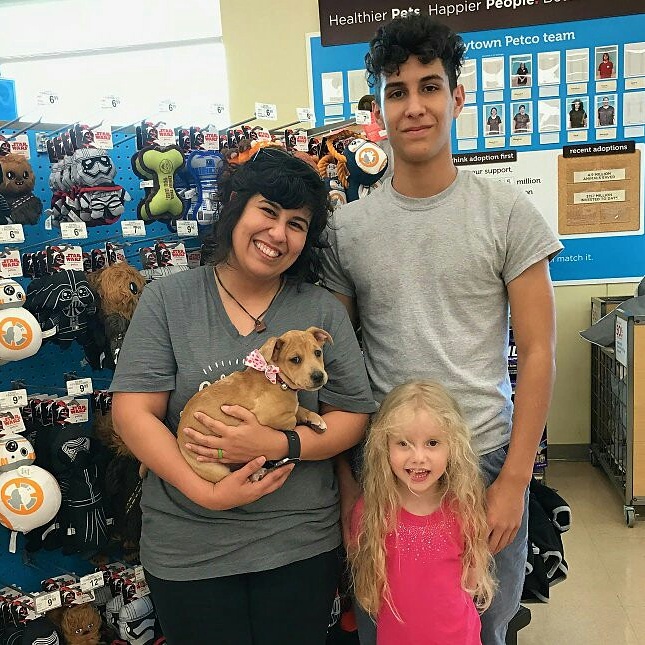 NALA - Adopted February 2017