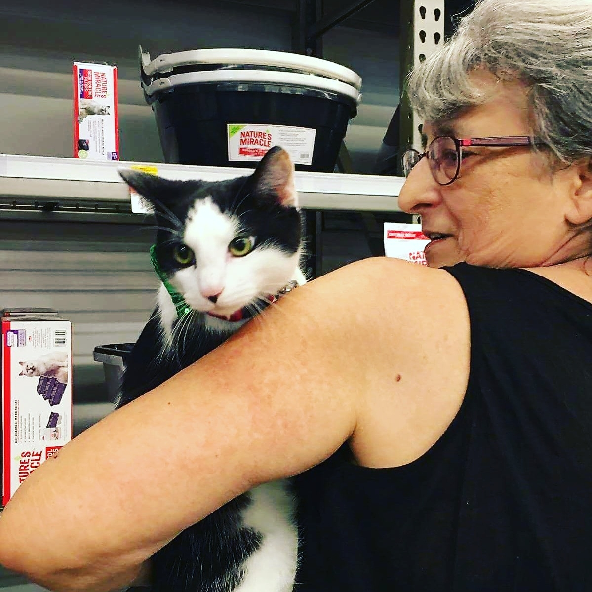 LUPIN - Adopted March 2017