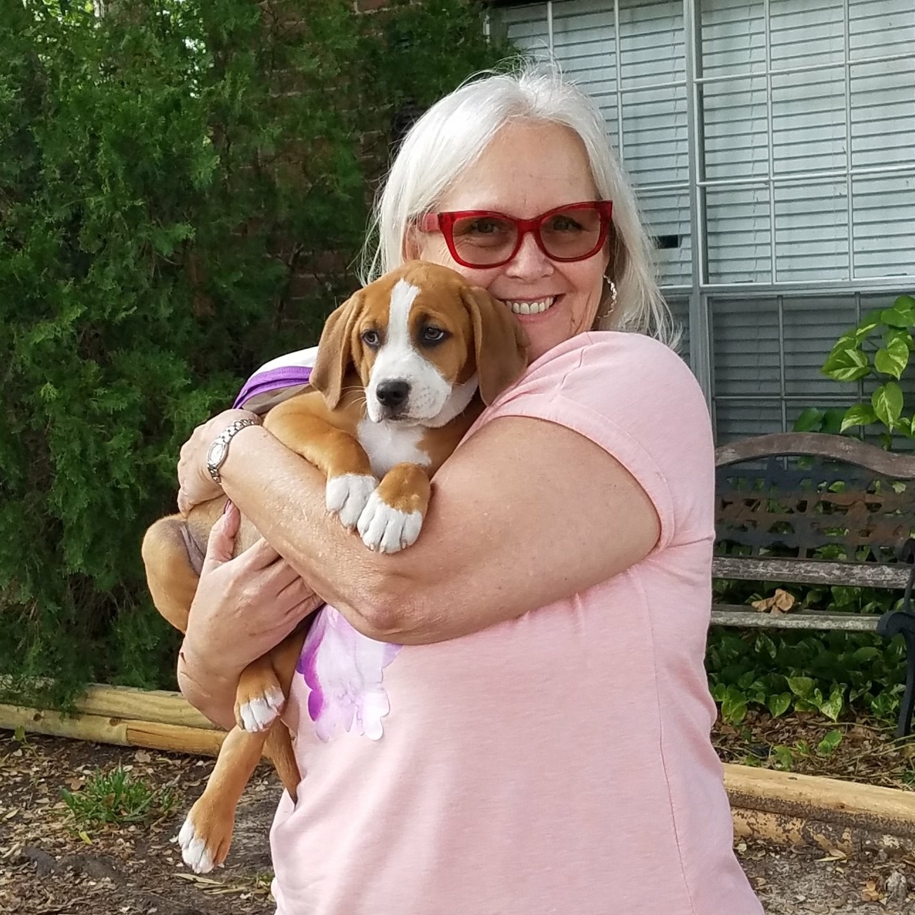 MACE - Adopted April 2017
