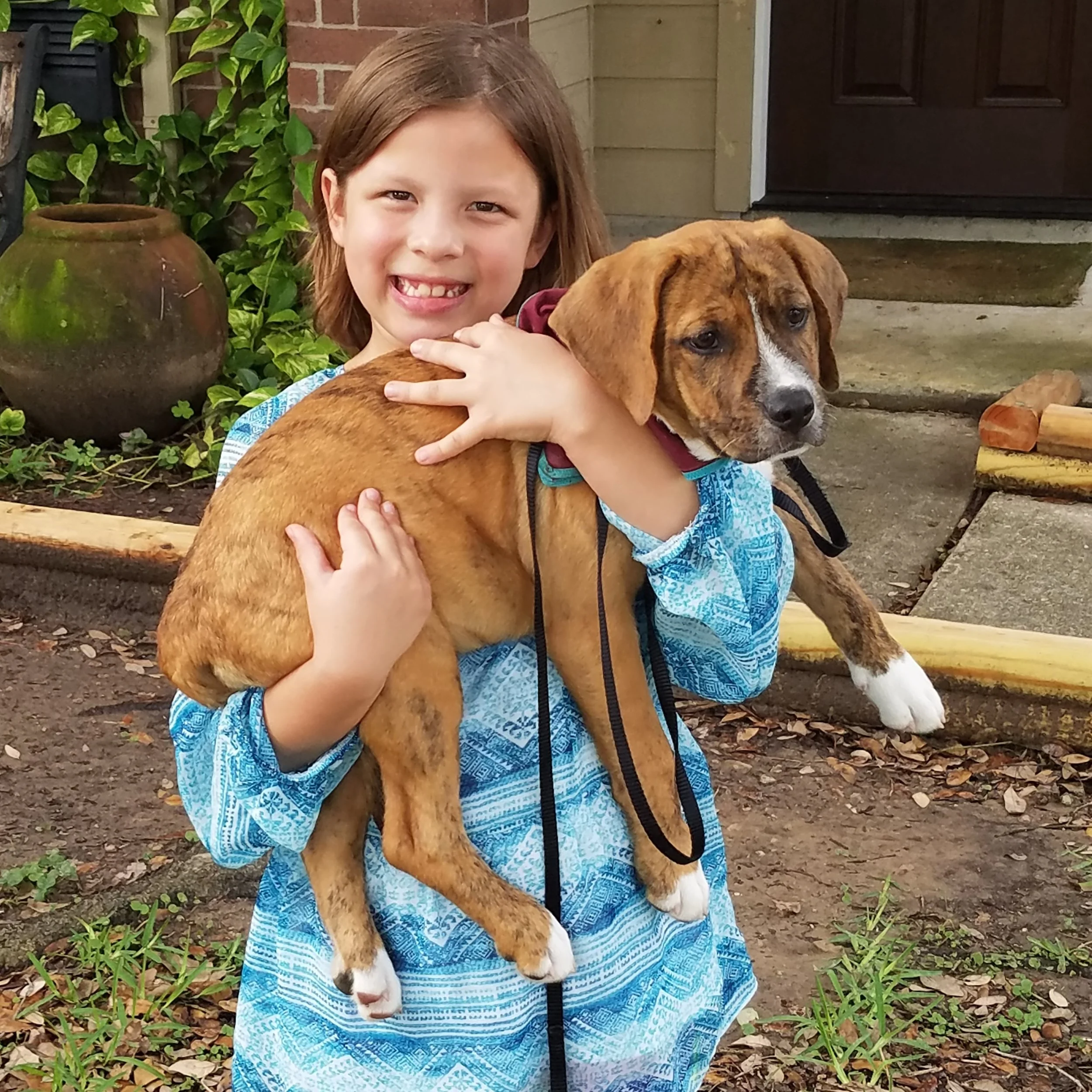 CHEWY - Adopted April 2017