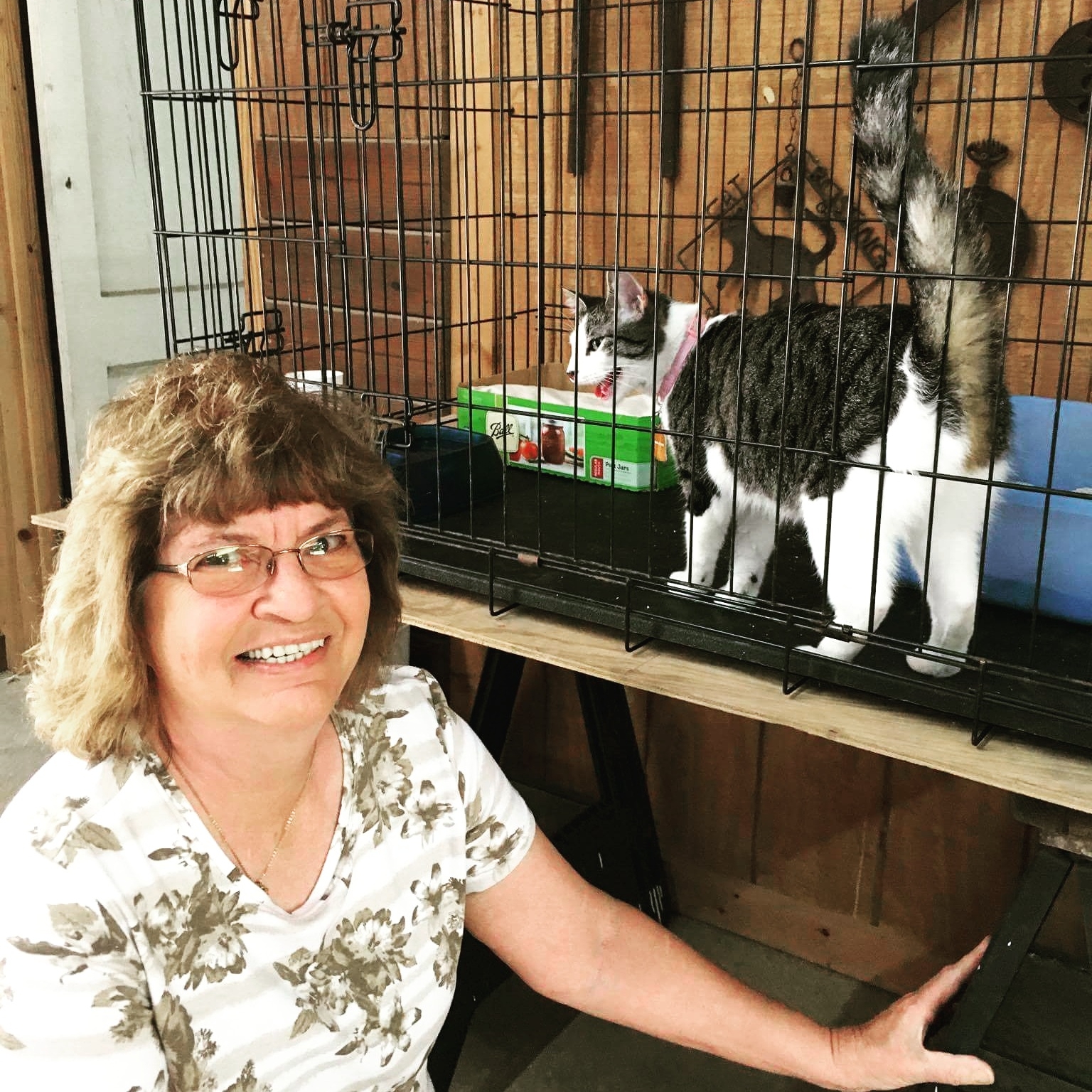 MAGGIE - Adopted May 2017