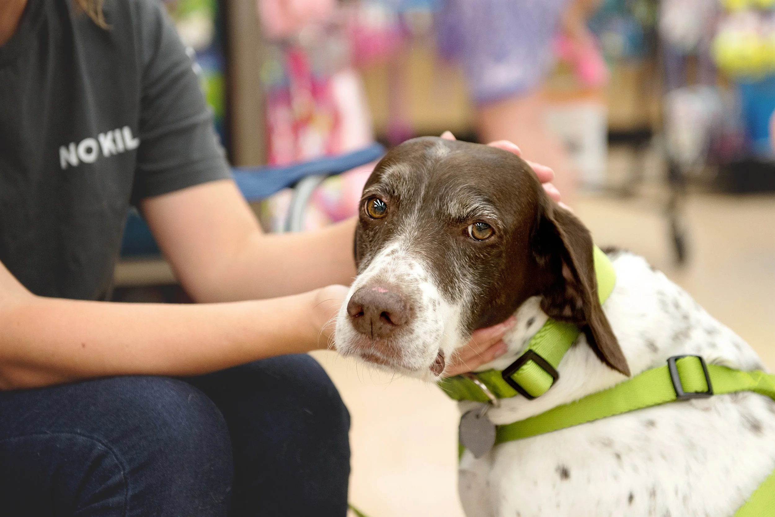 Shilohatpetco.jpg