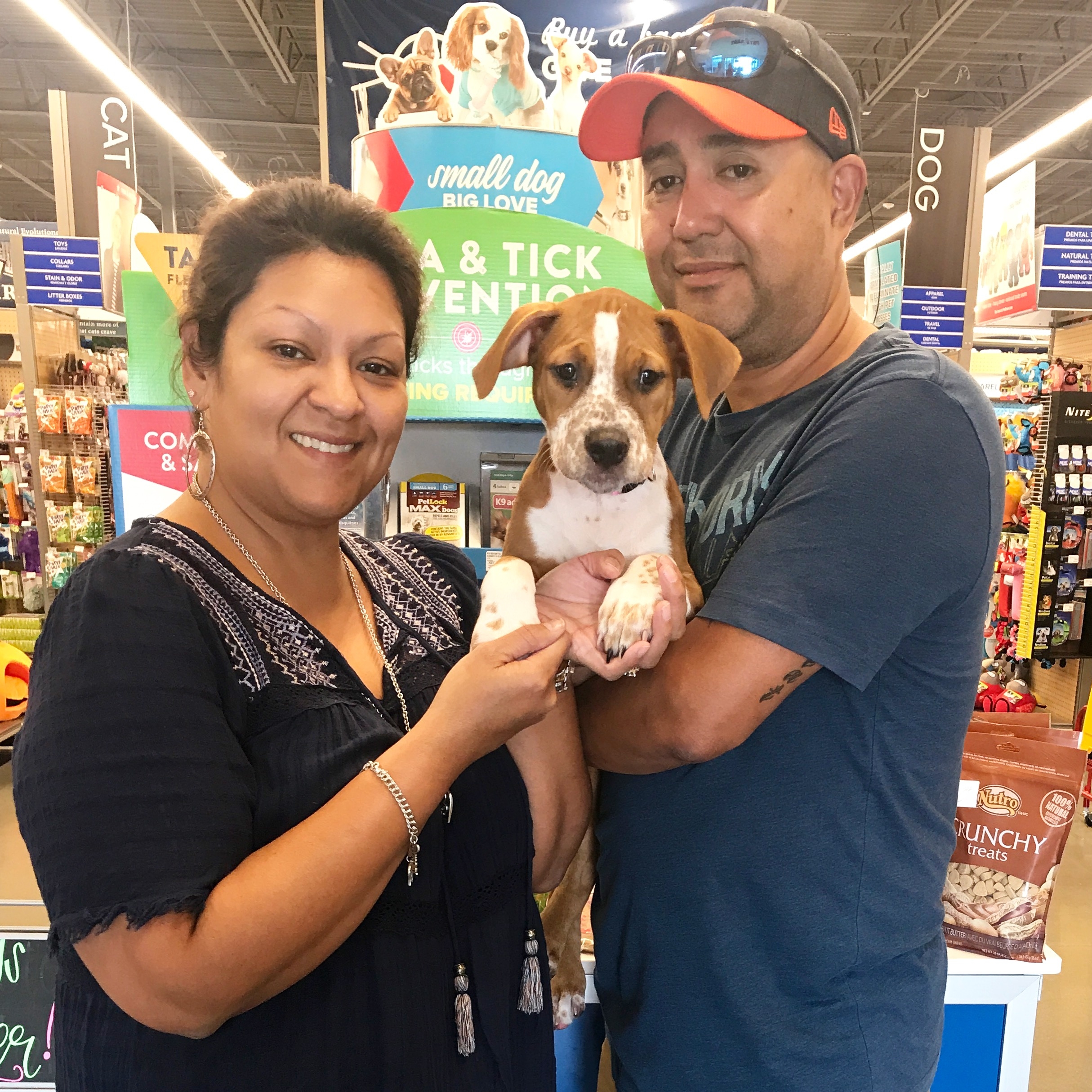 POLKA - Adopted August 2017