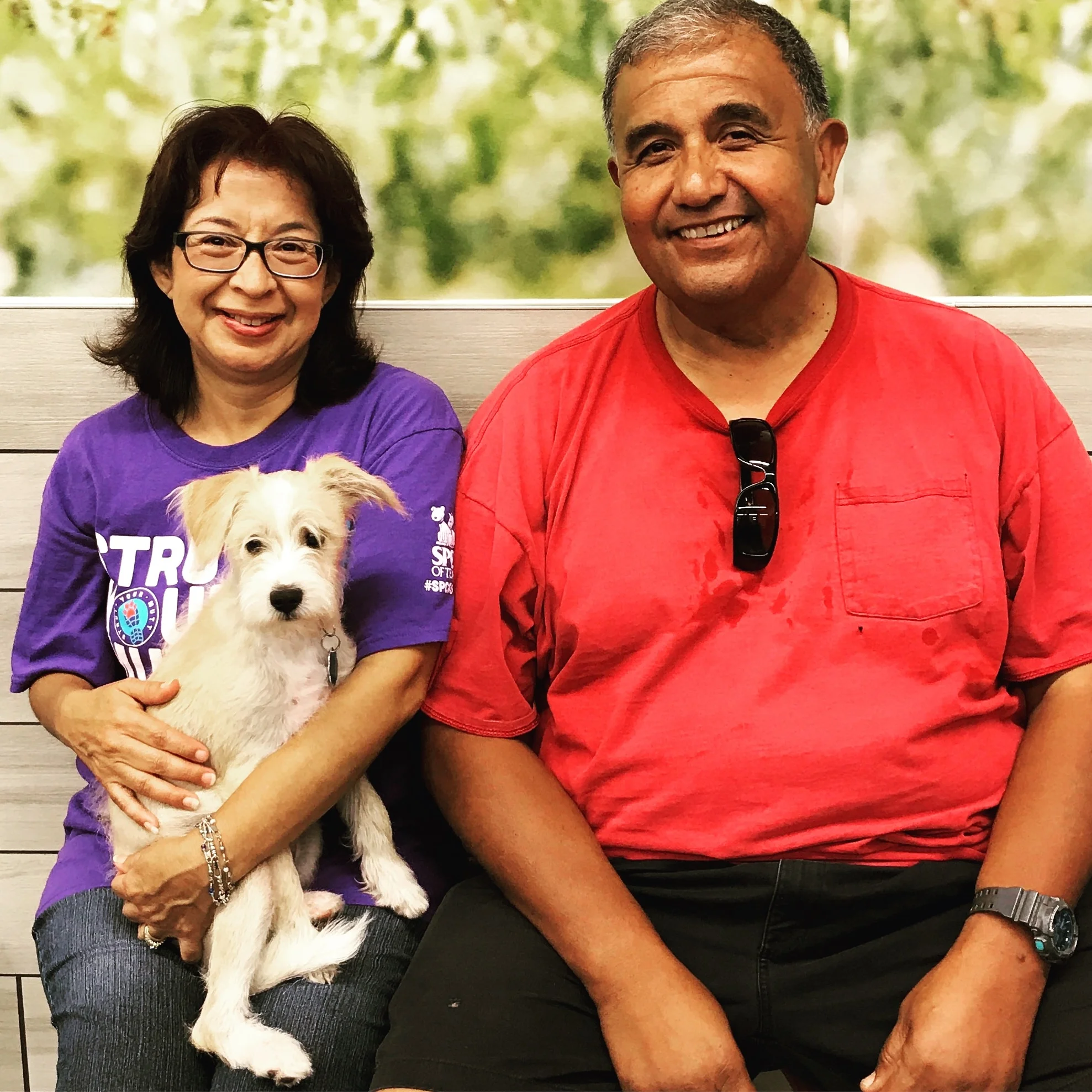 BINGO - Adopted August 2017