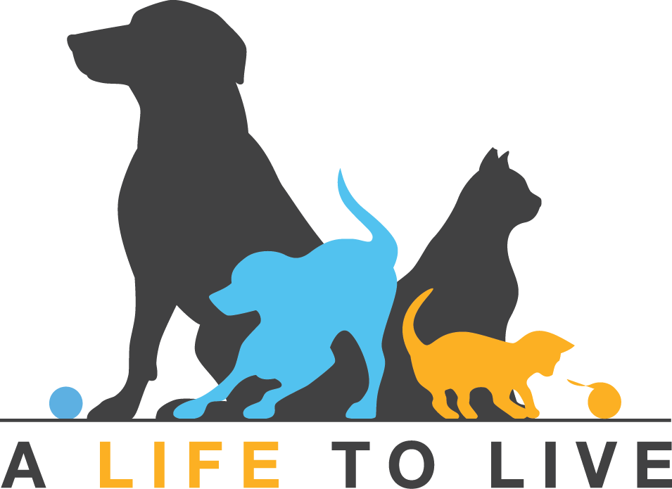 Final logo, concluded through hours of manipulation and critique between the two artists. 