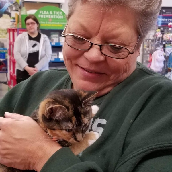 TORI - Adopted October 2017