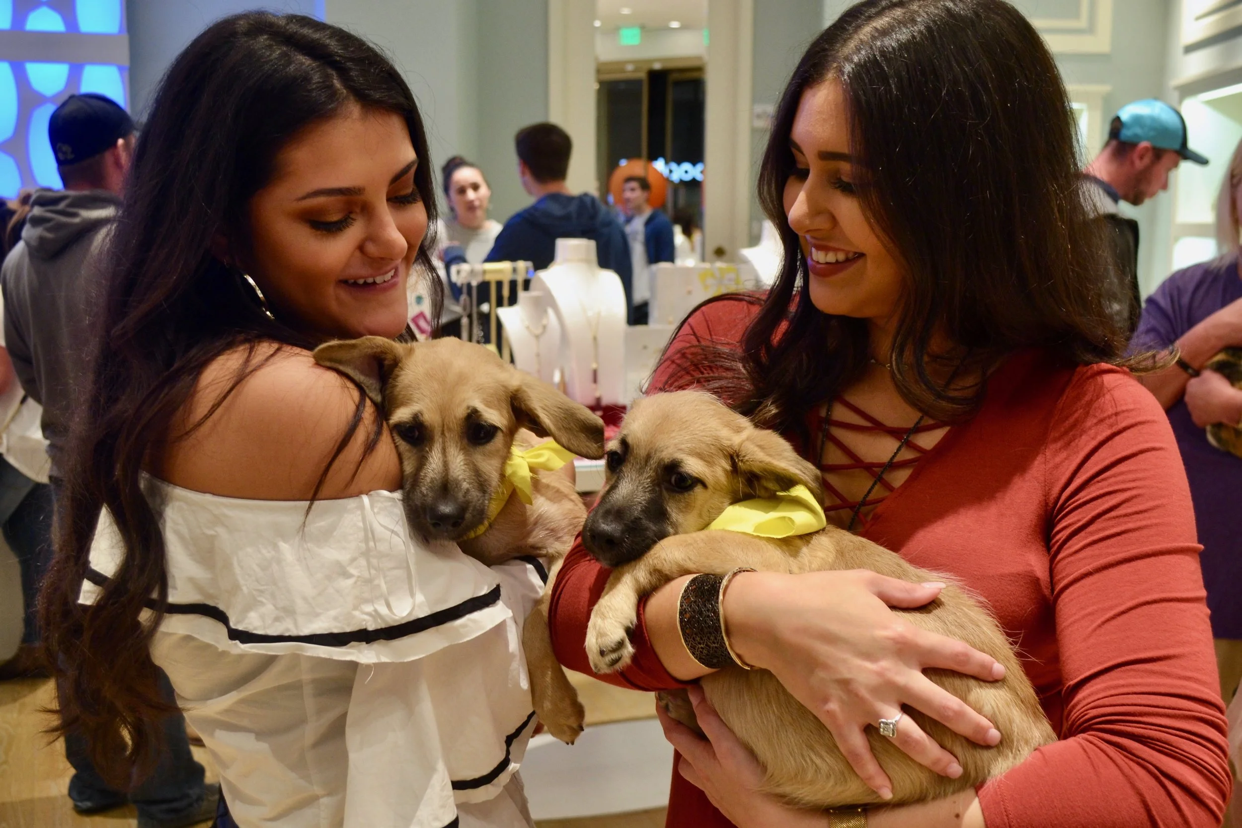 Kendra Scott's employees love our adoption events. Who doesn't love some cuddles and kisses while on the clock? Makes for a happy employee and customer when puppies are involved!