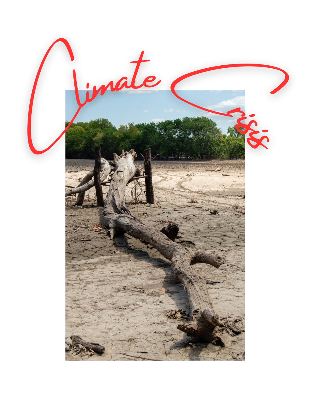 Climate Crisis.png