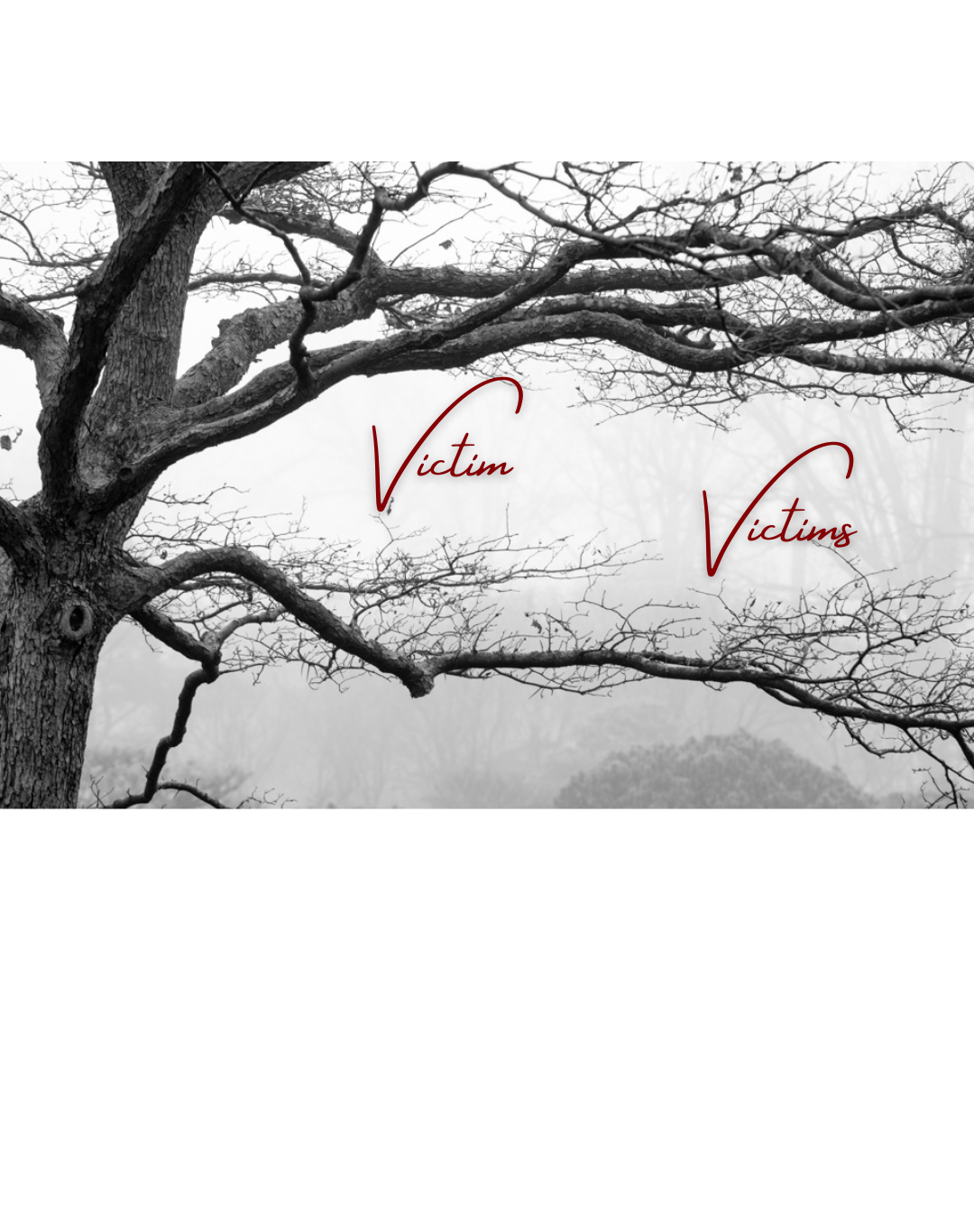 Victim_Victims.png