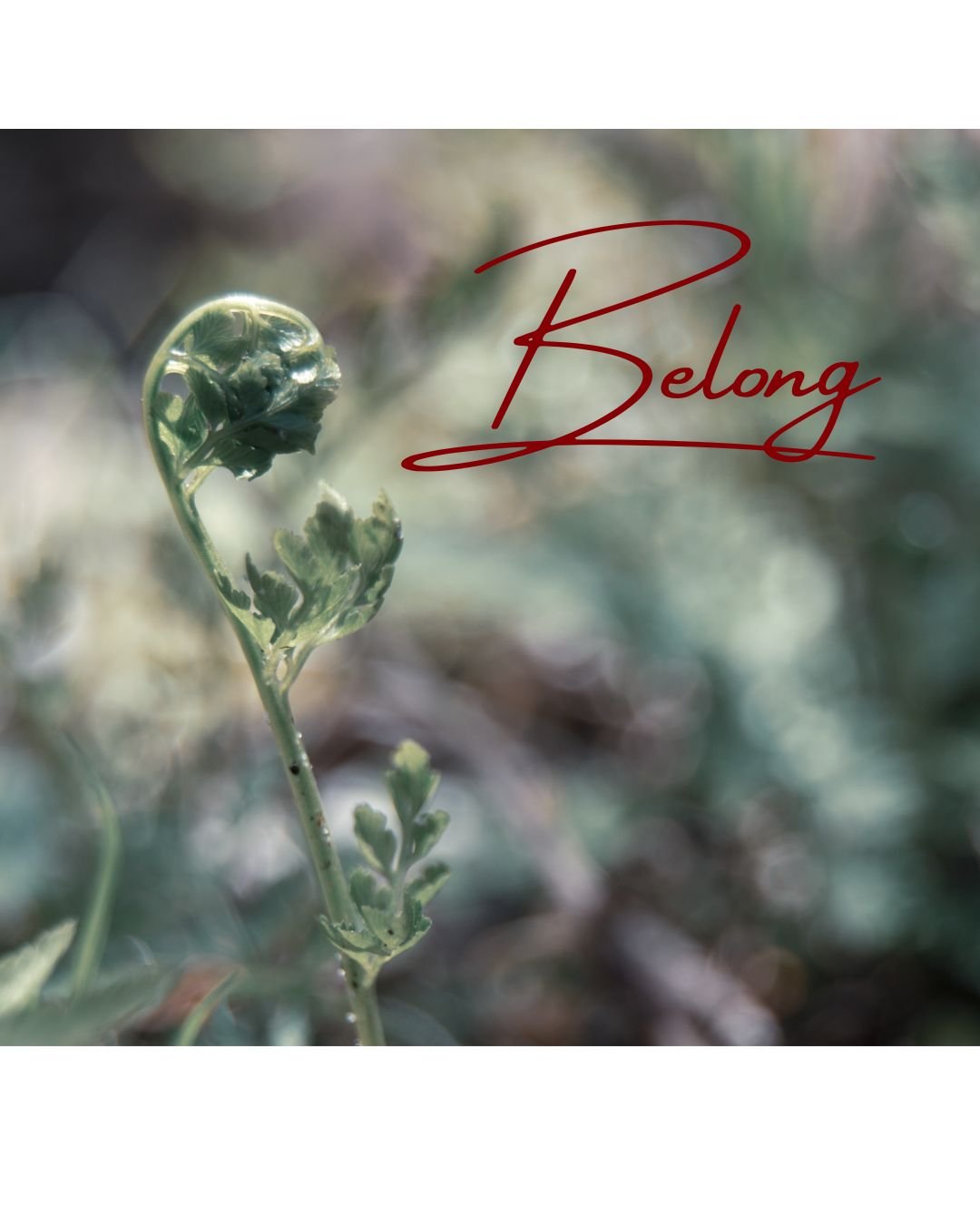 Belong.jpg