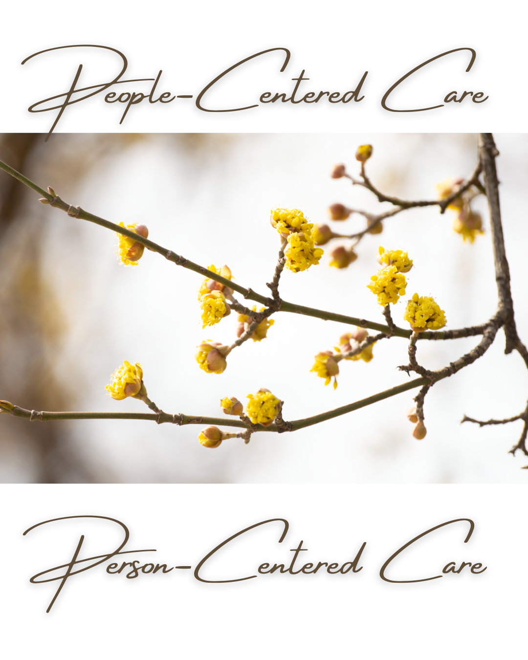 People Centered Care.png