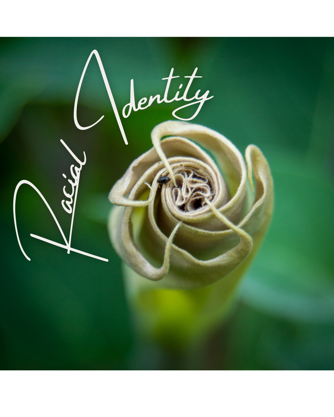 racial identity.png