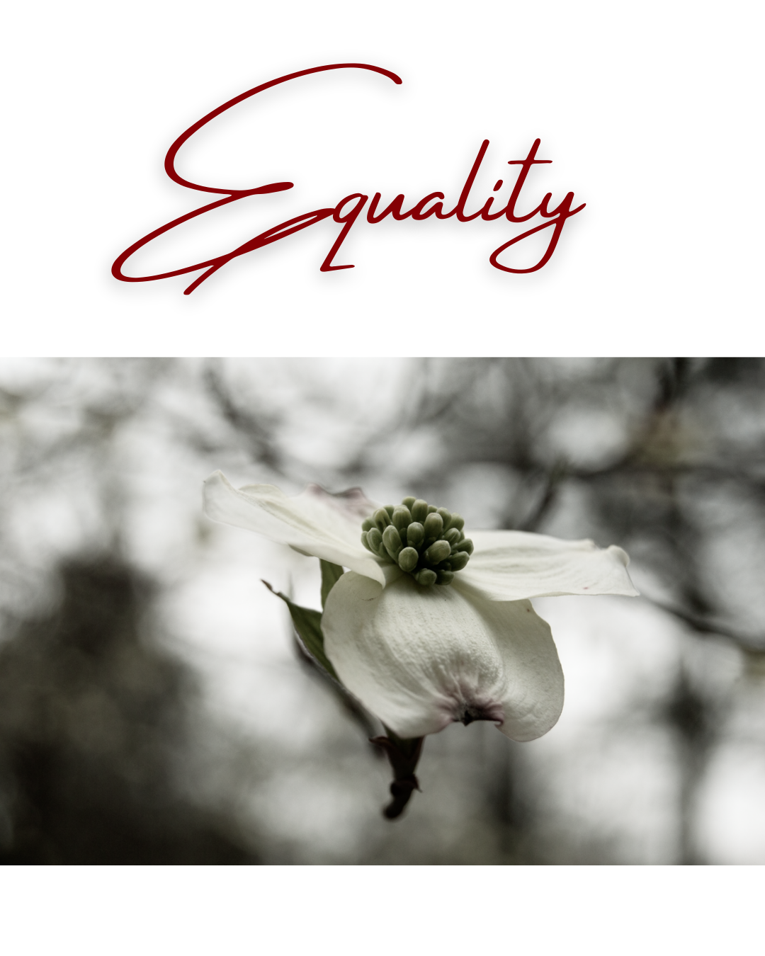 Equality.png