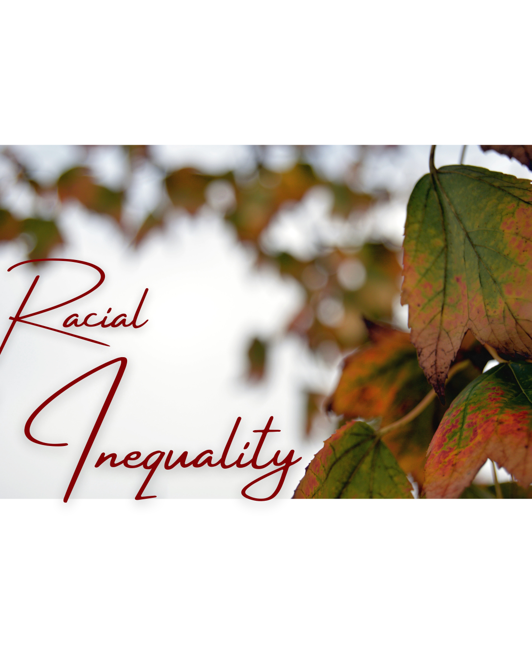 racial inPronounequality.png