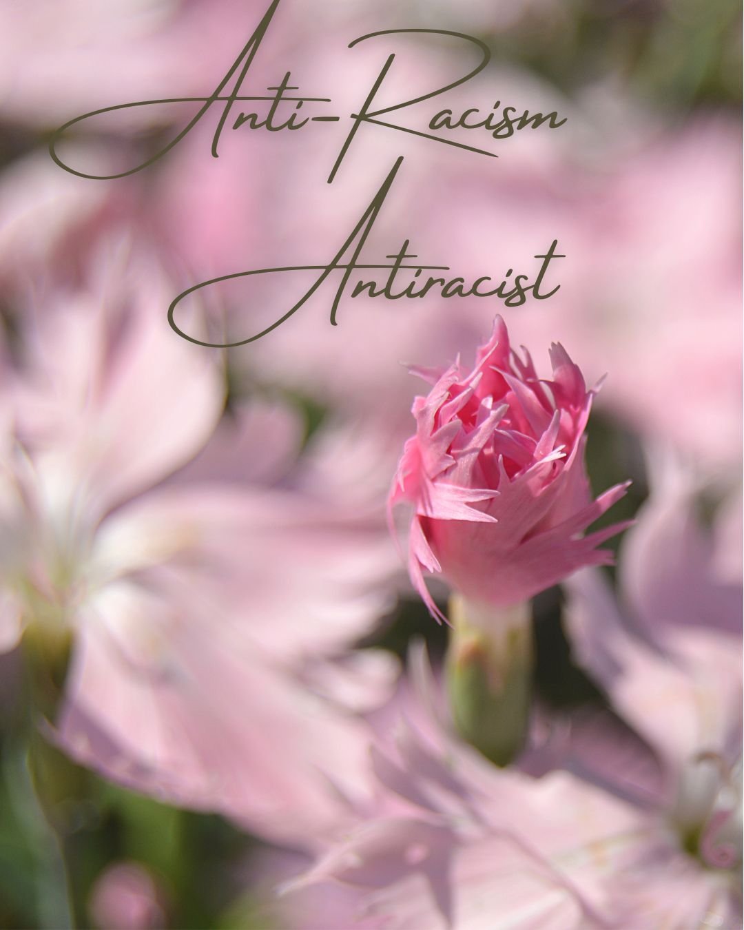 Anitracist.jpg