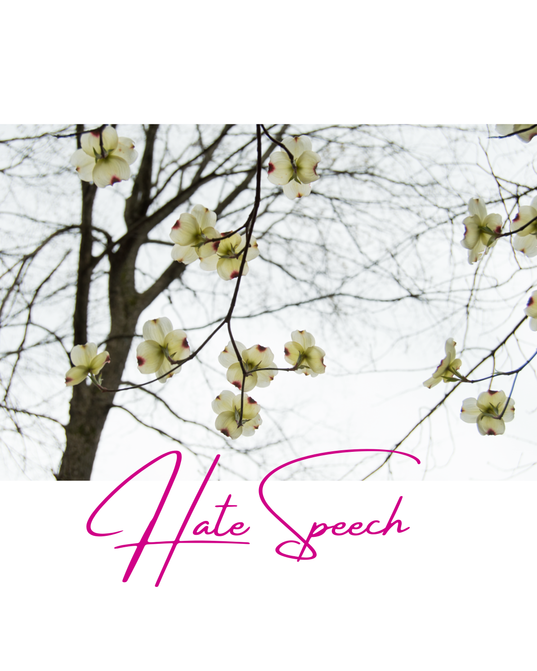 Hate Speech.png