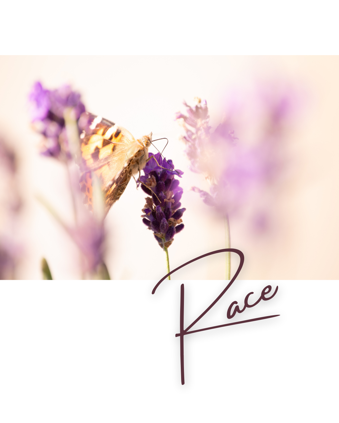 Race.png