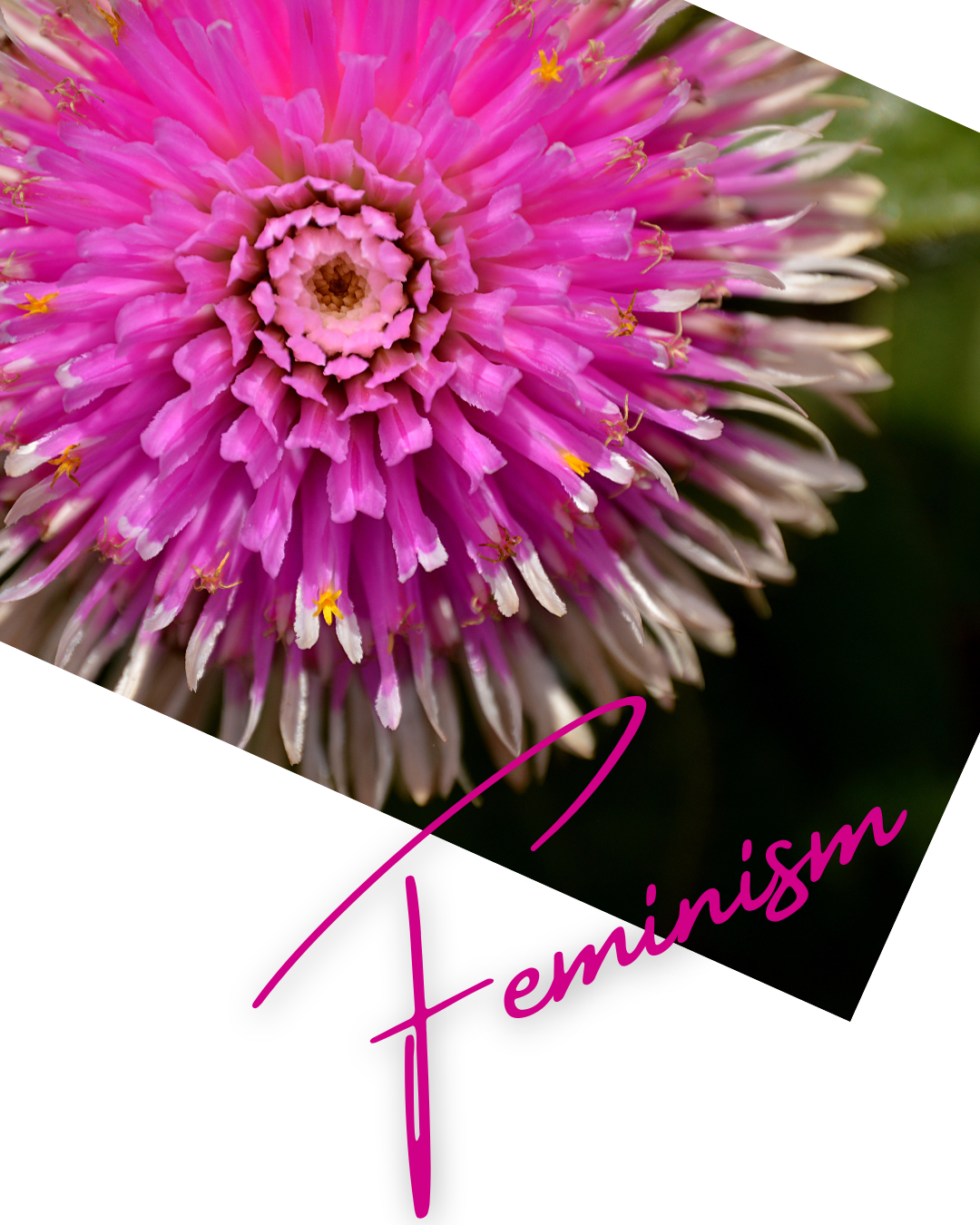 feminism.png