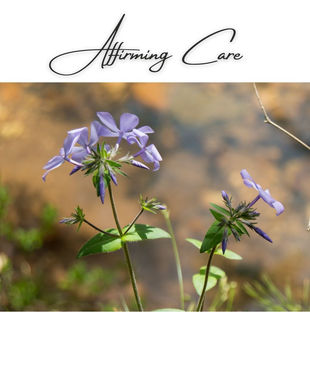 Affirming Care.jpg