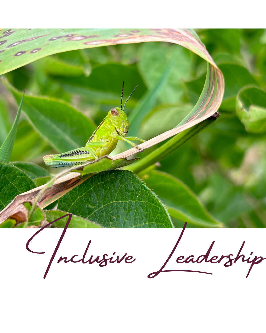 Inclusive leadership.png