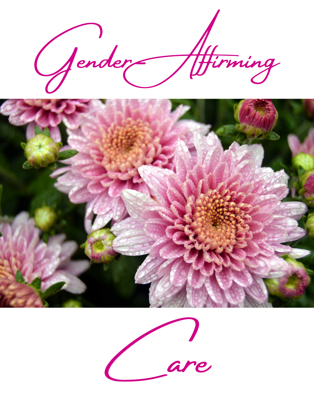 Gender Affirming Care.png