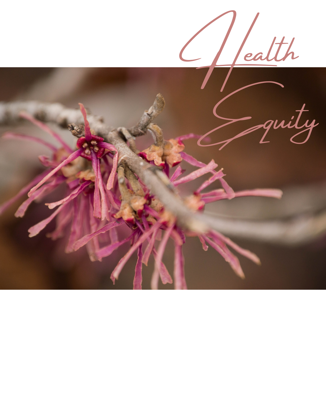 Health Equity.png