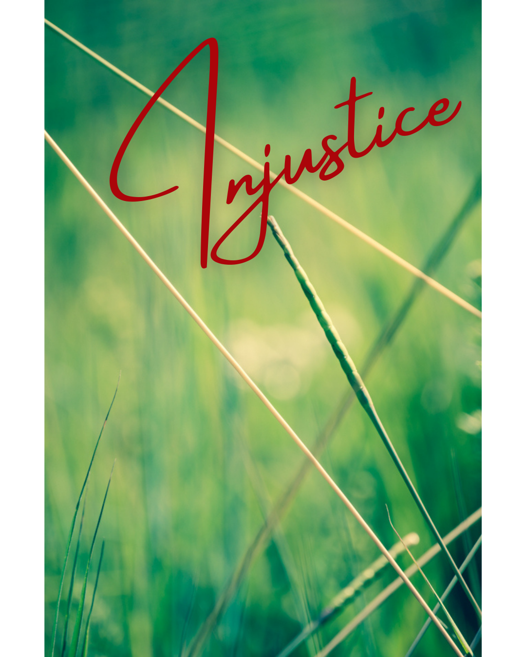 injustice.png