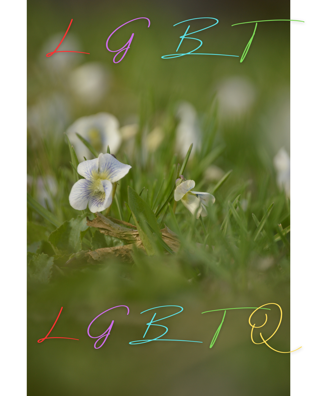 LGBT_LGBTQ.png