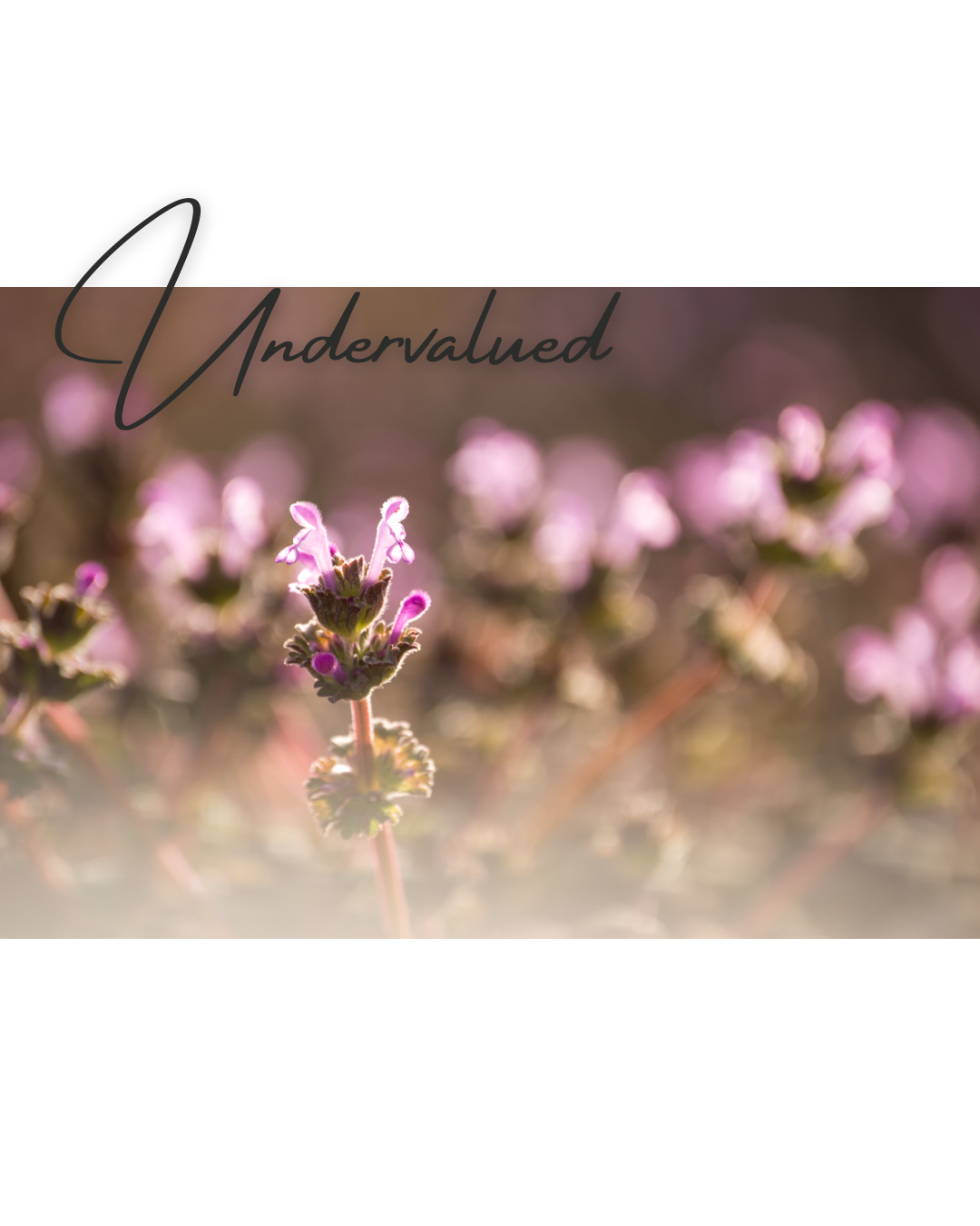 Undervalued.png