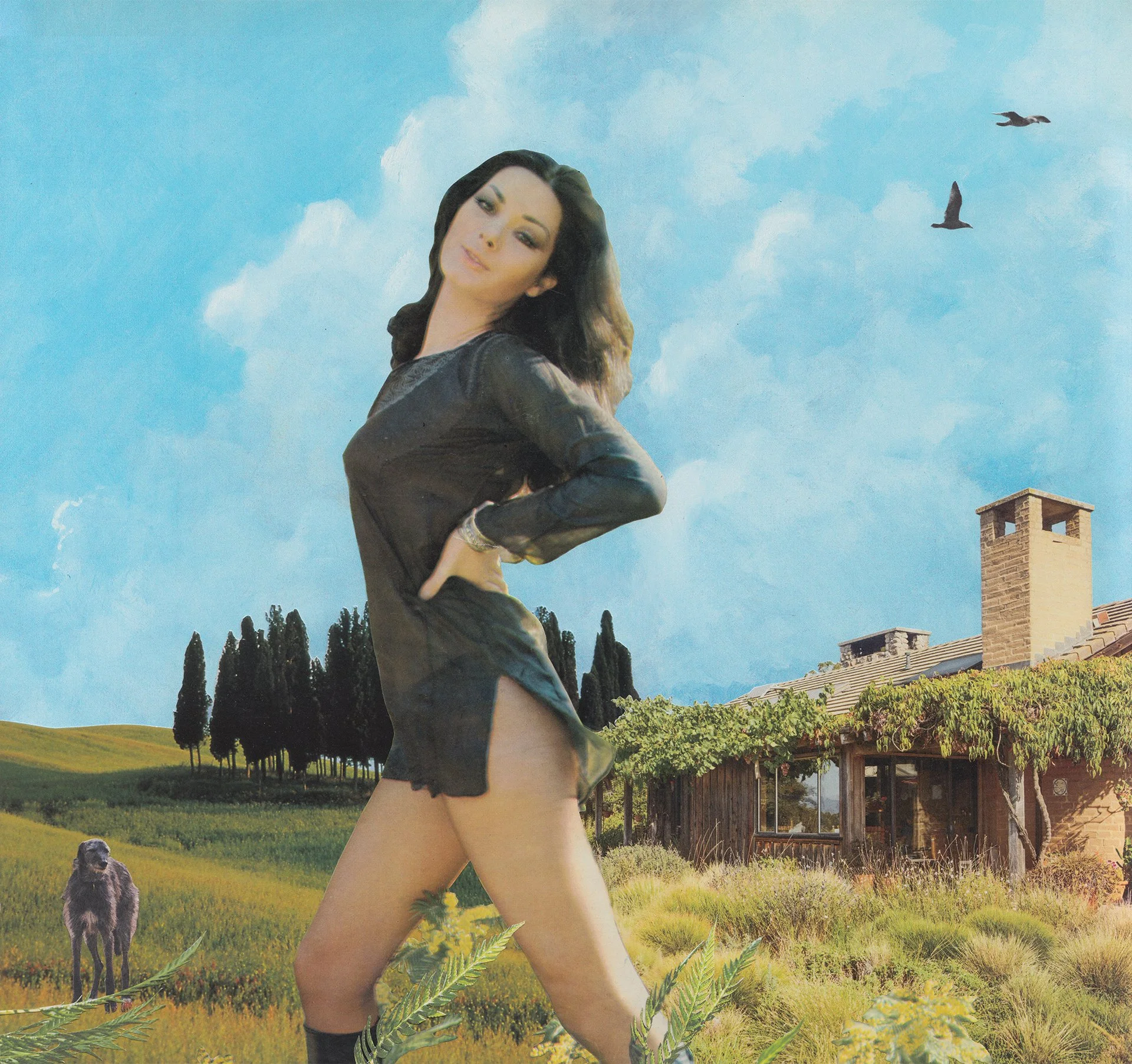 Outdoor Scene 26, 2026