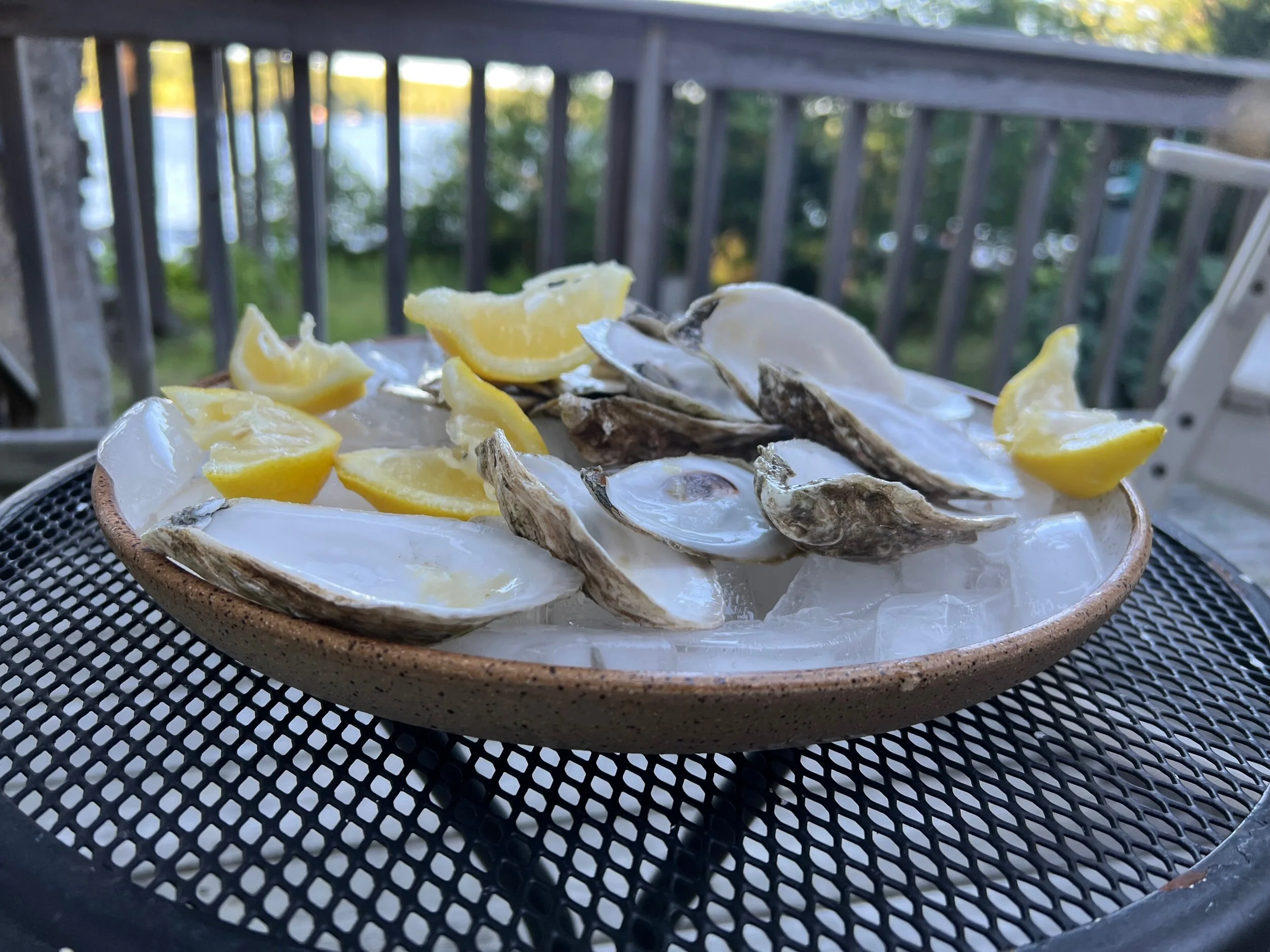 8E2658E9-9919-4B35-A03C-BF5D2CBD647E