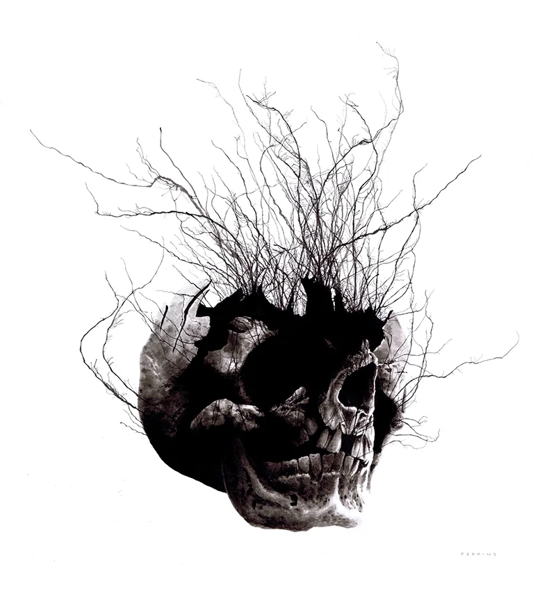 broken_skull_flat.jpg
