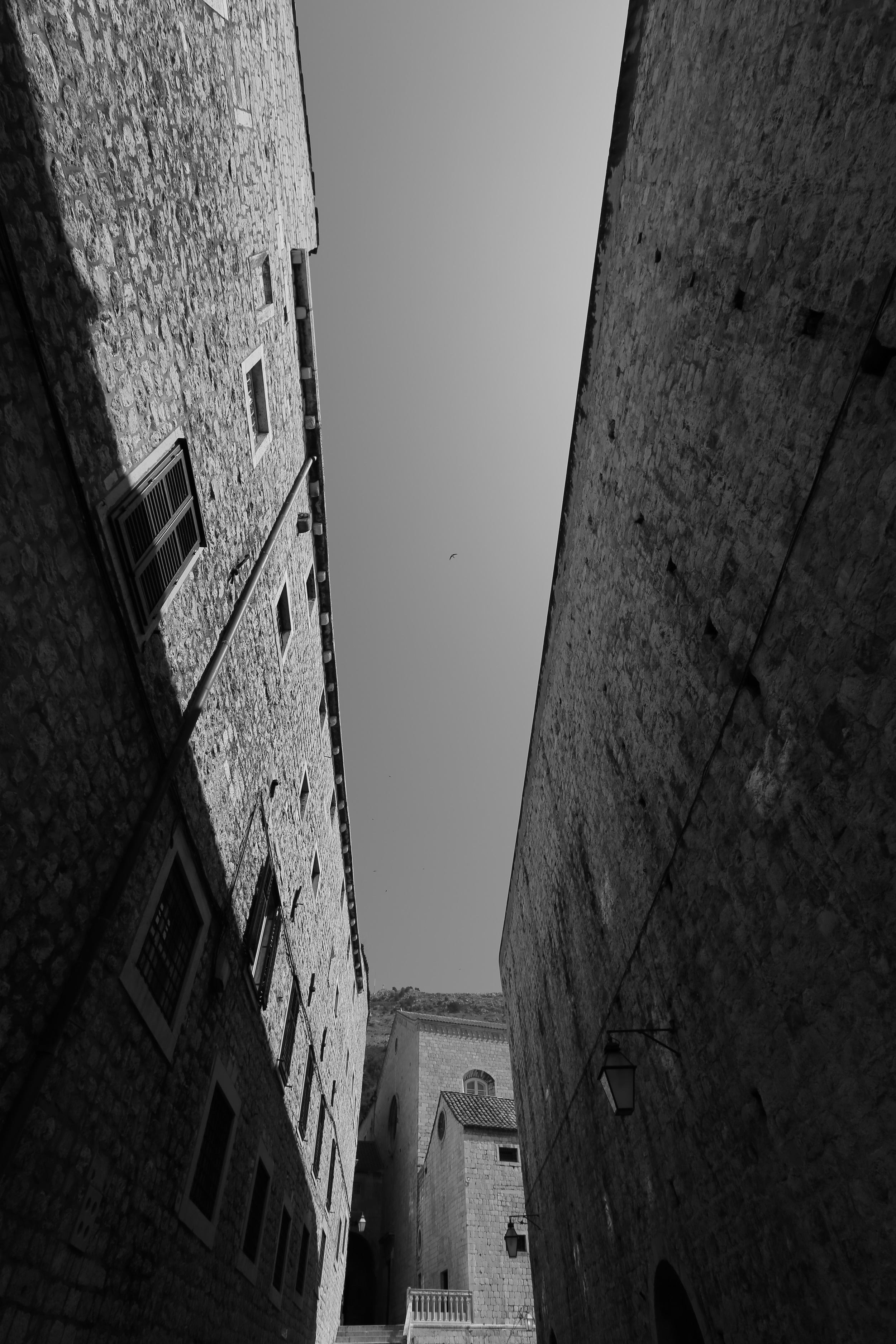 1306150106.JPG