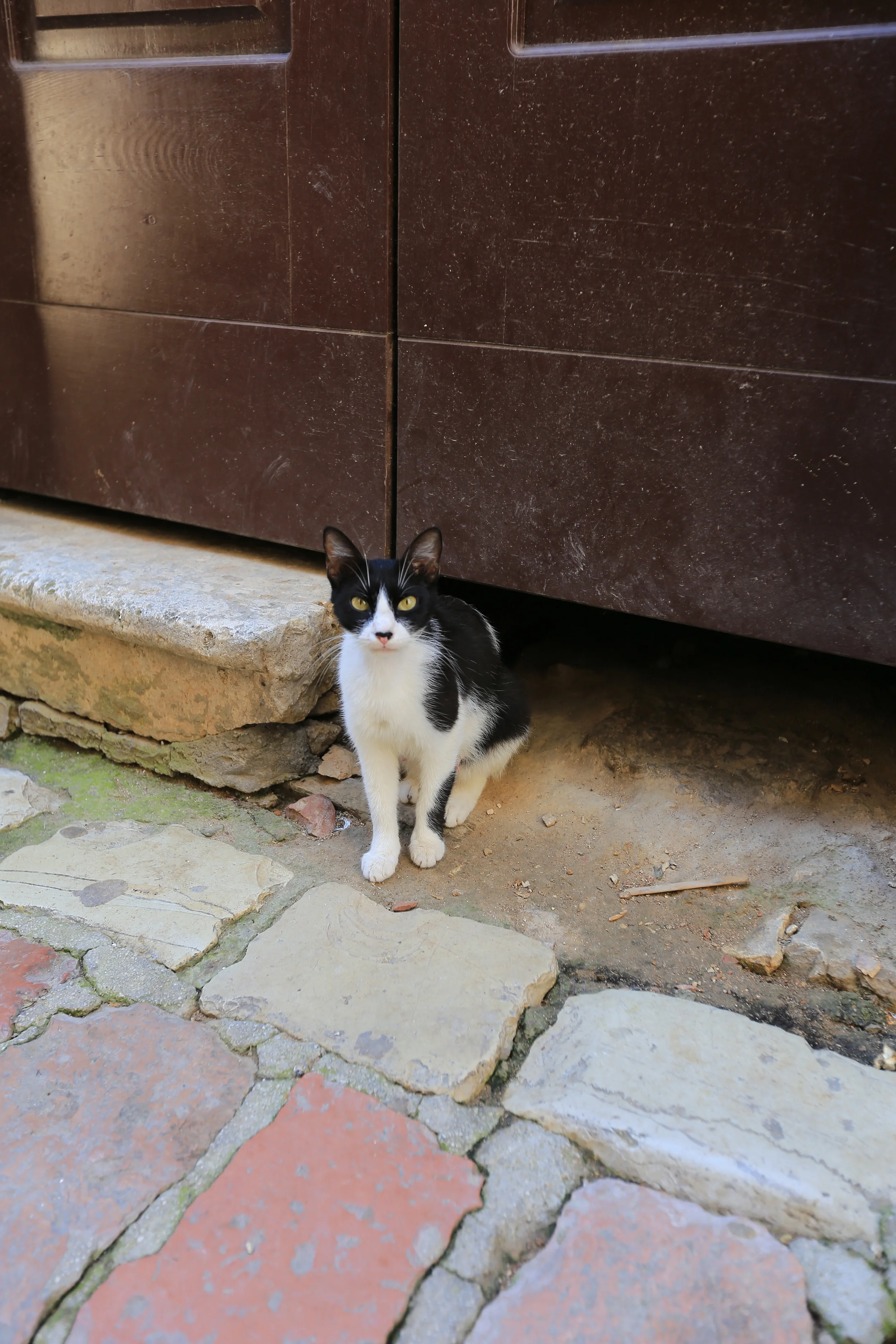 1306170088.JPG