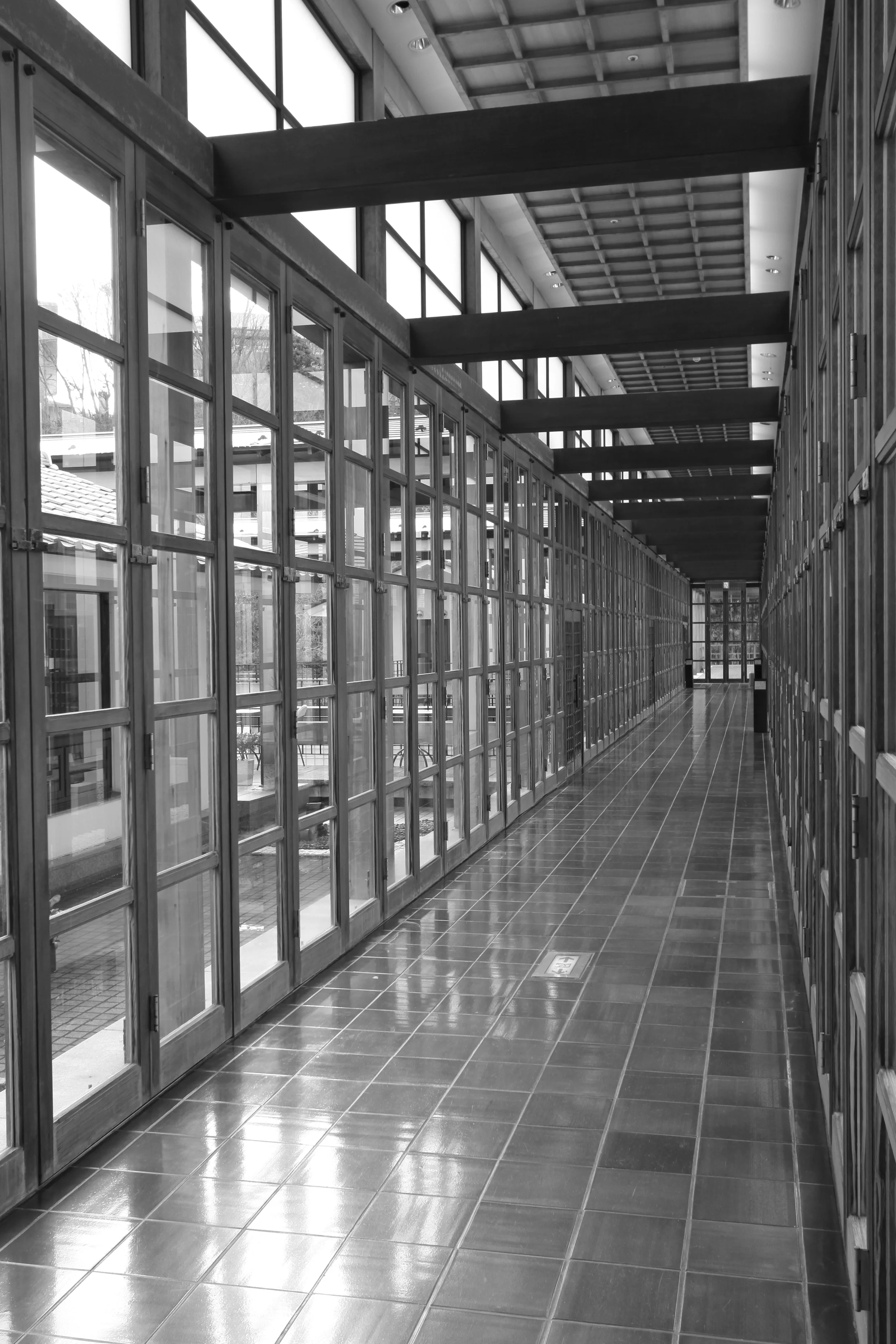 1202020098.JPG