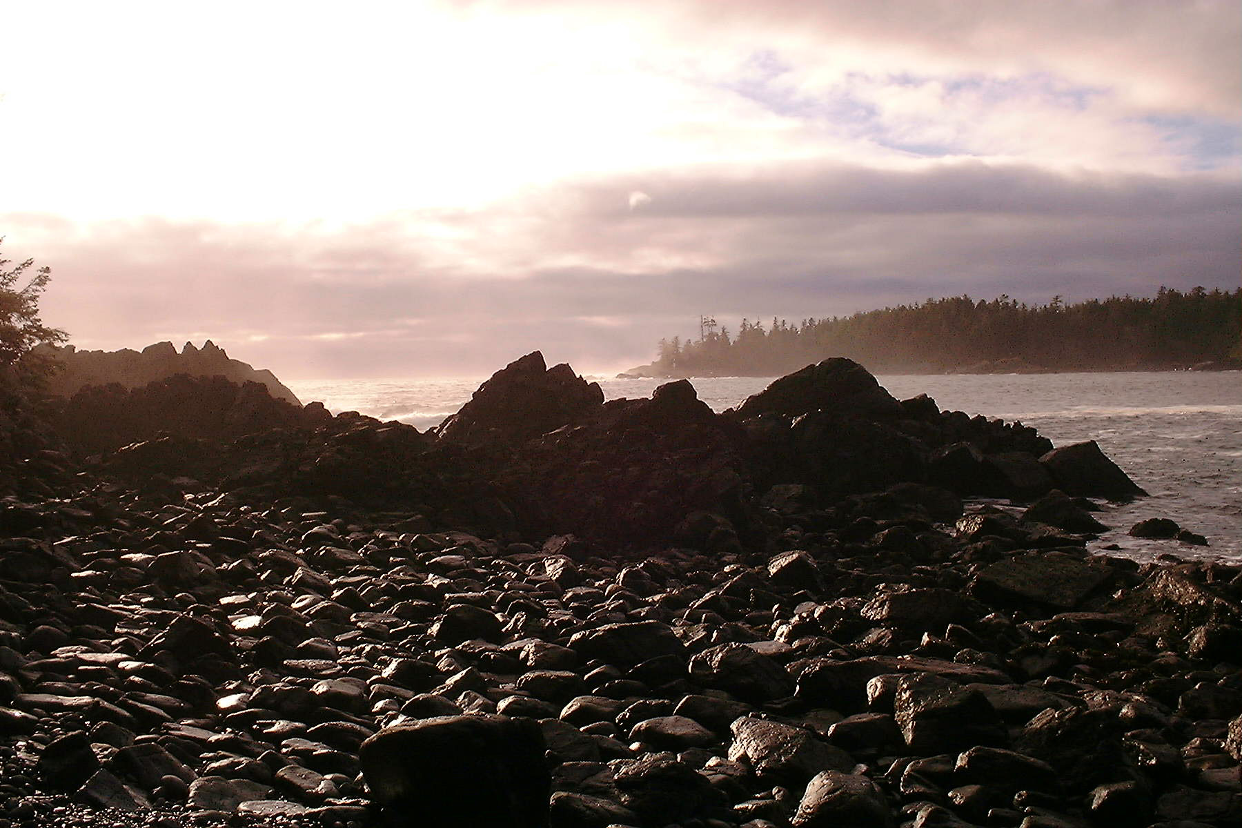 0112280040.JPG