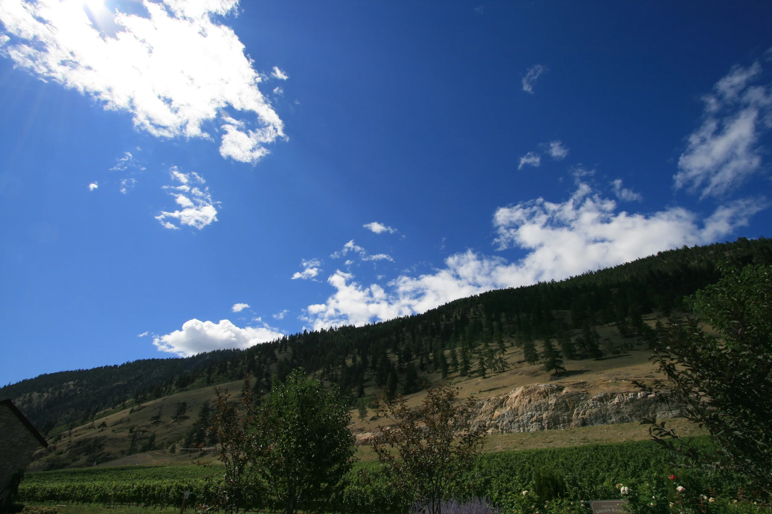 0708040014.JPG